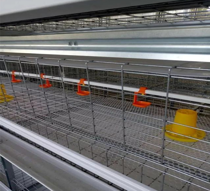 кормушка и пьющий