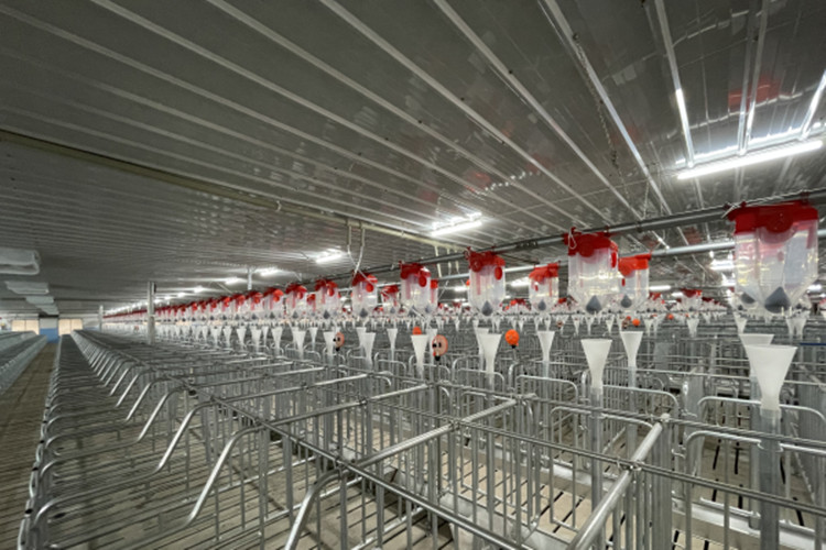 Ванерс сарай