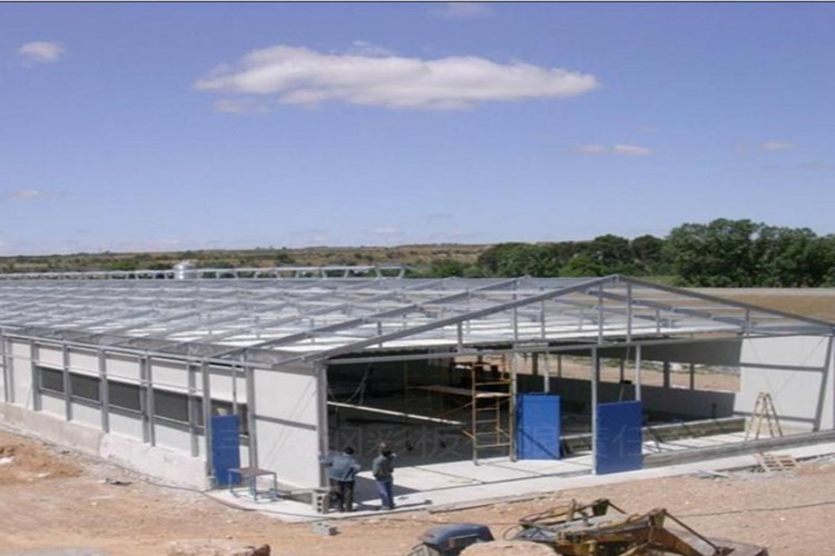 птицефабрика