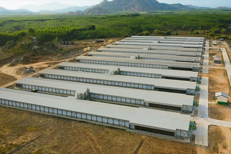 птицеферма