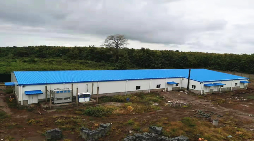 селекционная птица ферма