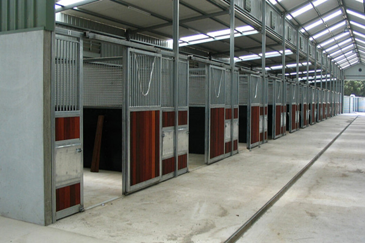 Арена лошади