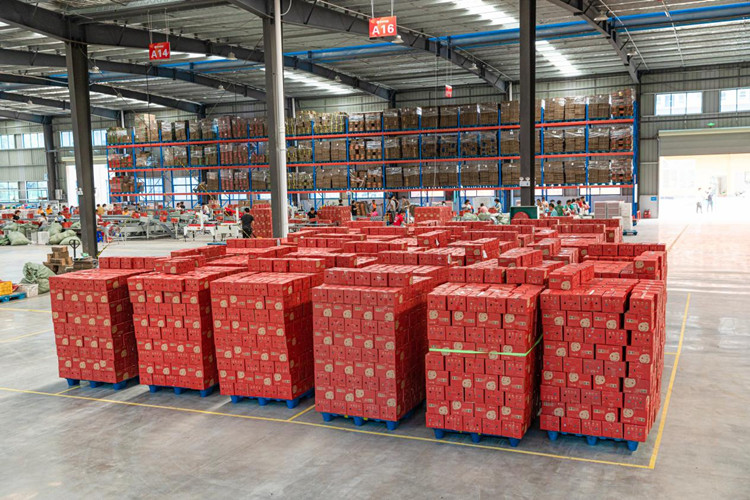 фрукты хранения