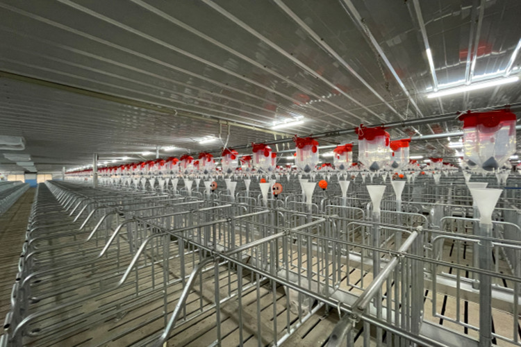 спаривание сарай