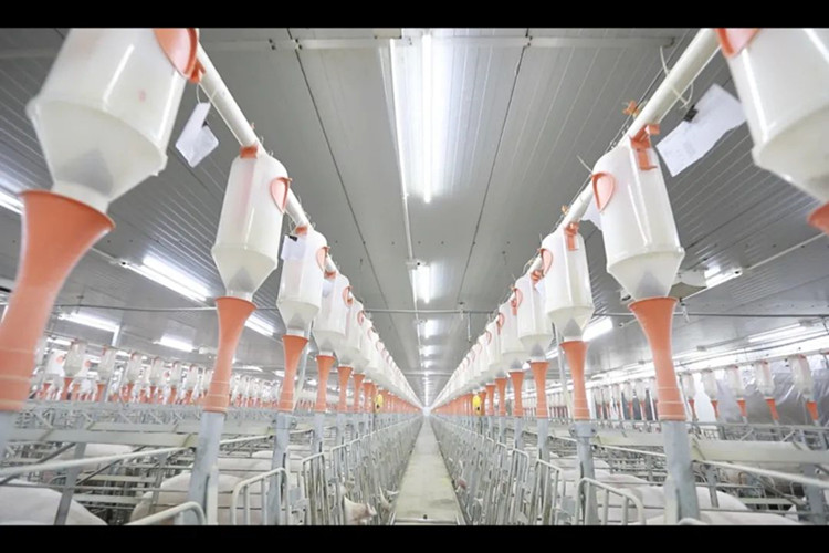 питьевая система