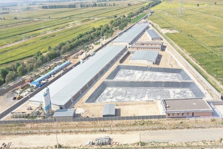 Свиновая ферма