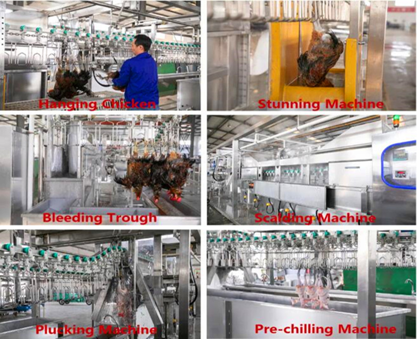 обработка курицы 