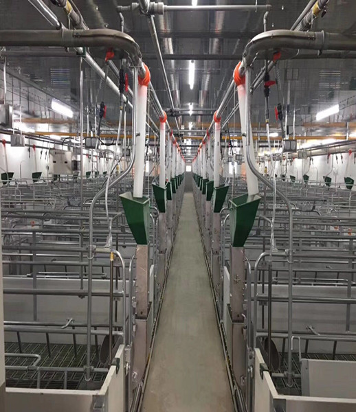 Система кормления