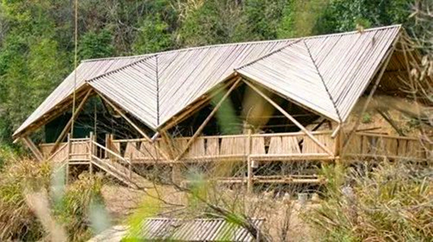 Свинья сарая