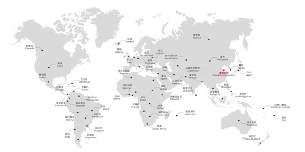 Экспорт рынка