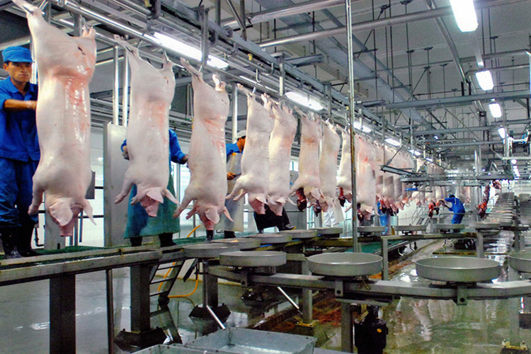 свиная промышленность