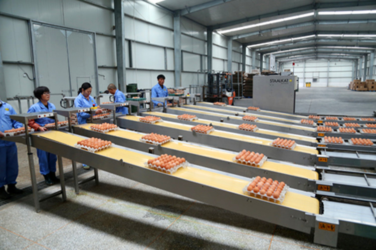 яичная упаковка