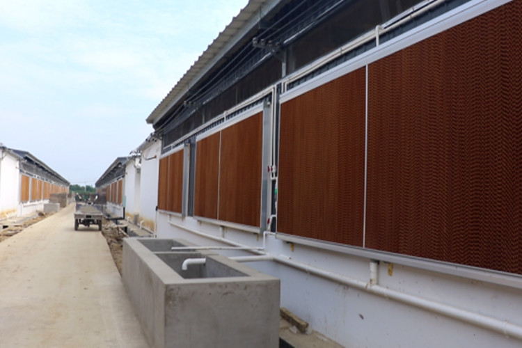 охлаждающая подставка