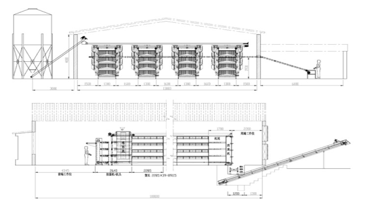 Куриный дом