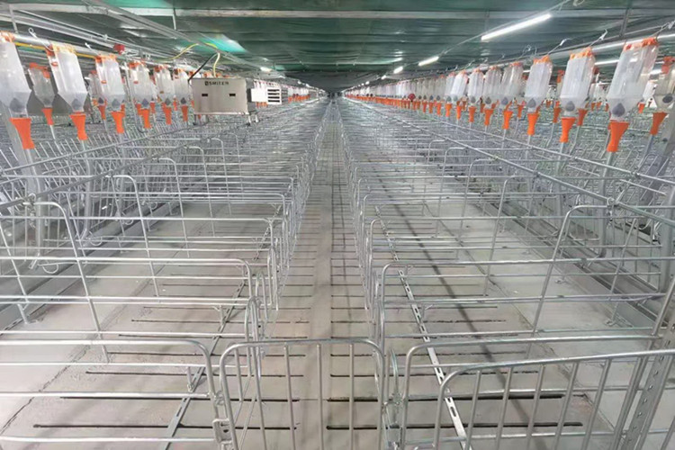 система питья