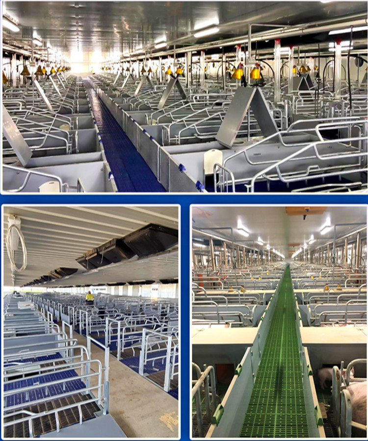 Фарроу пролил