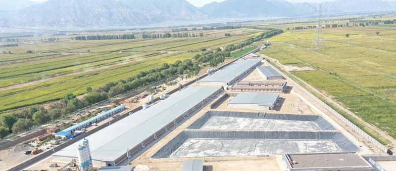 Ферминг боров