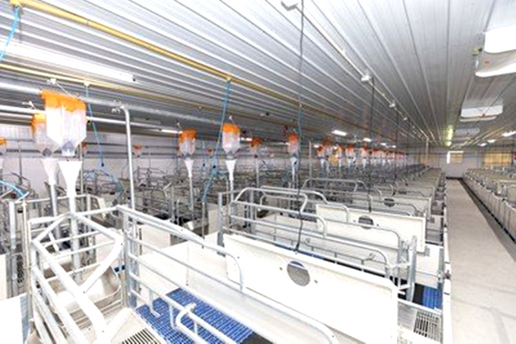 система ящиков