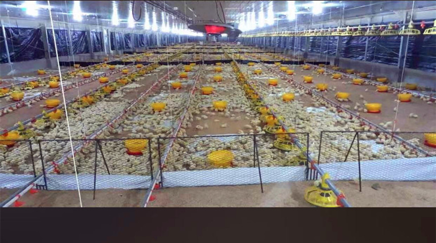 Линия подачи