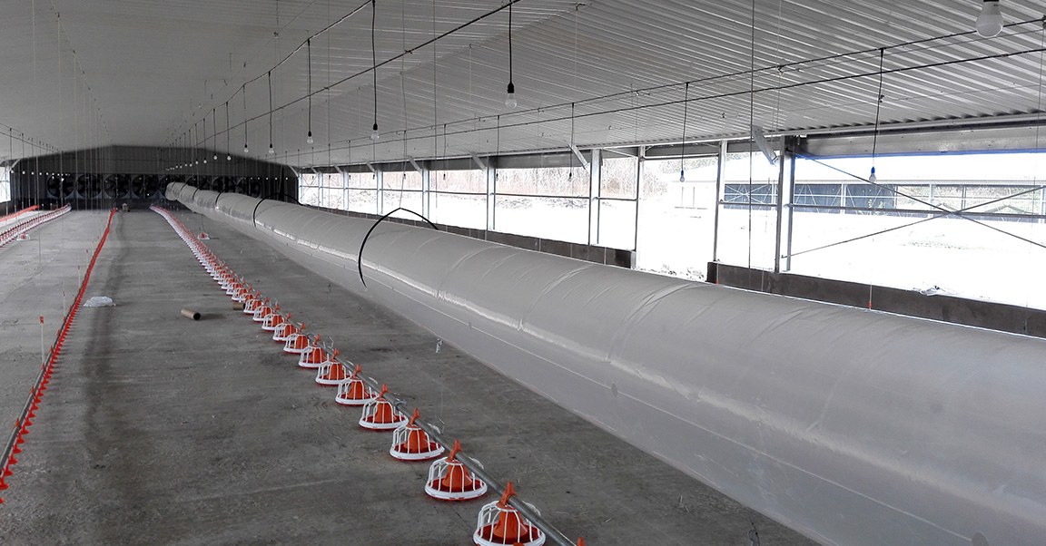 Бройлер-чиккен-хаус1