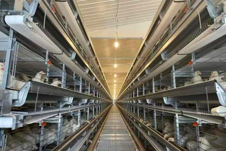 оцинкованная клетка