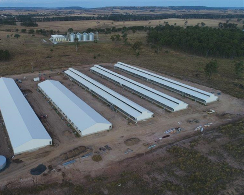 Стальная свиноводная ферма