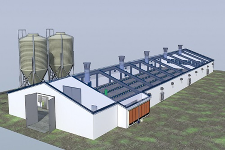 Сборная куриная ферма