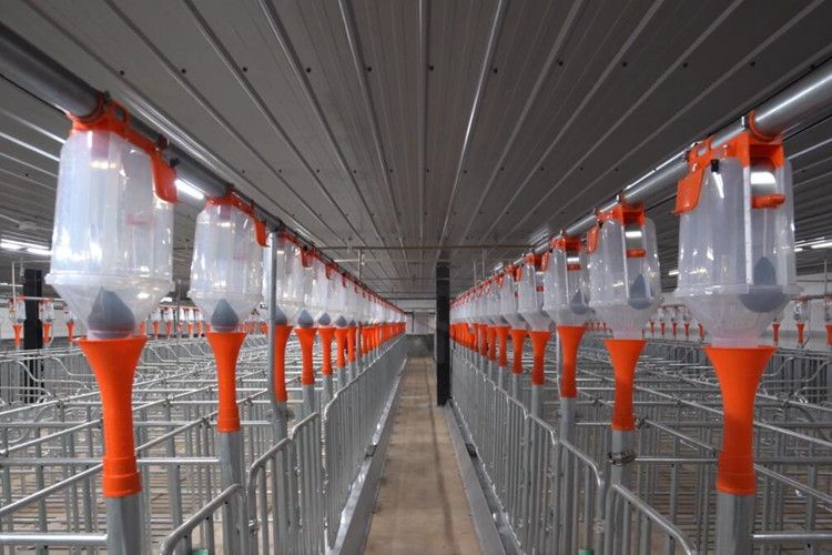 Свиновая оборудование