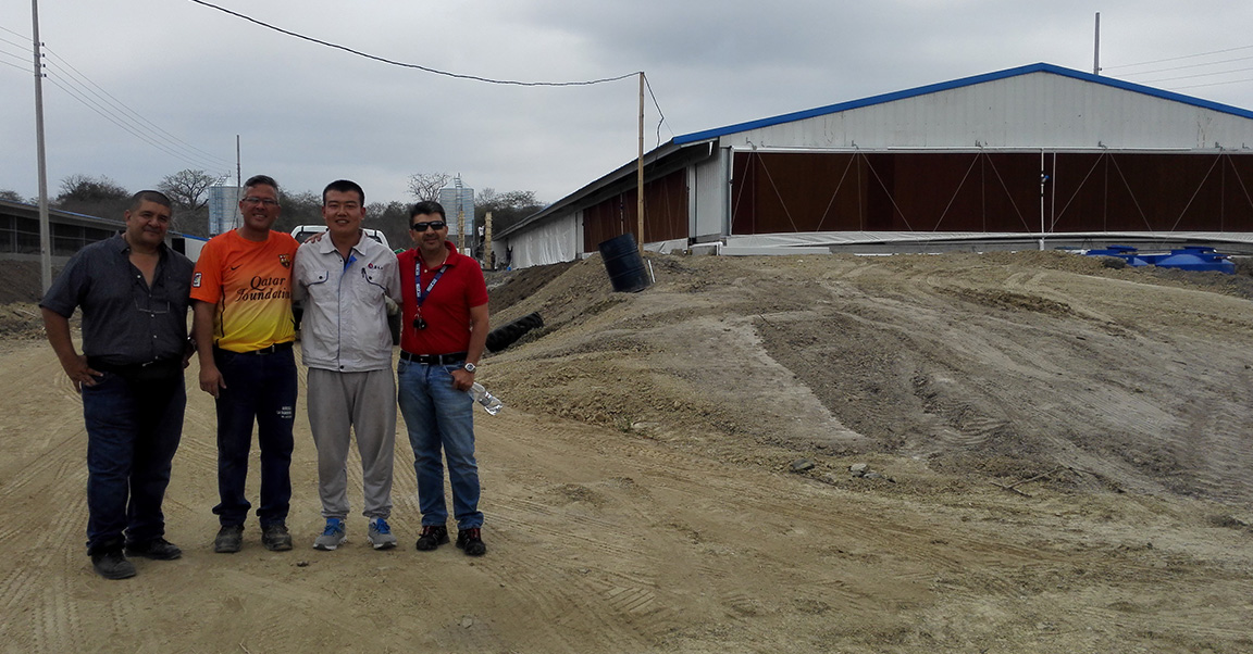 Бройлер-чиккен-хаус4