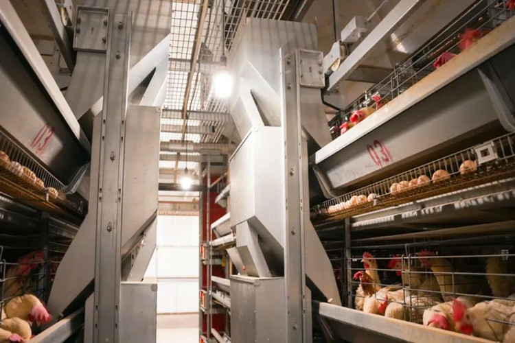 Система кормления