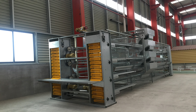 Корм в клетке equupment.