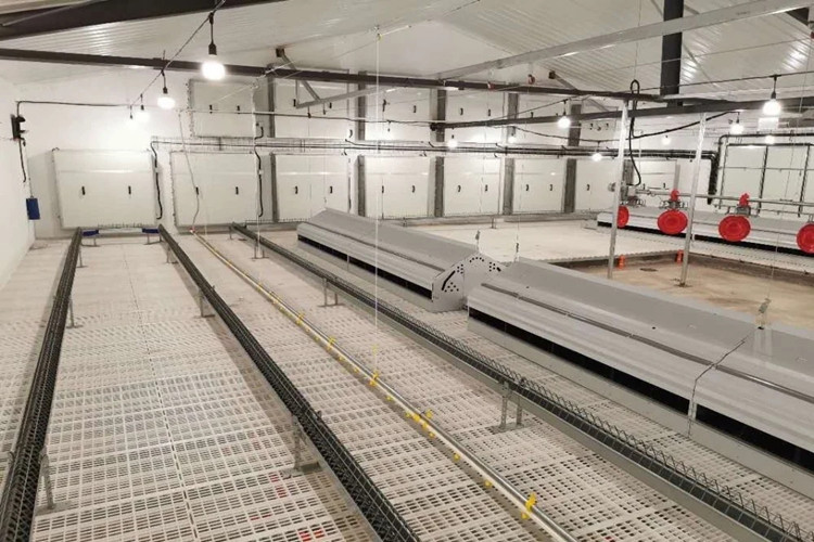 Слой-куриная ферма