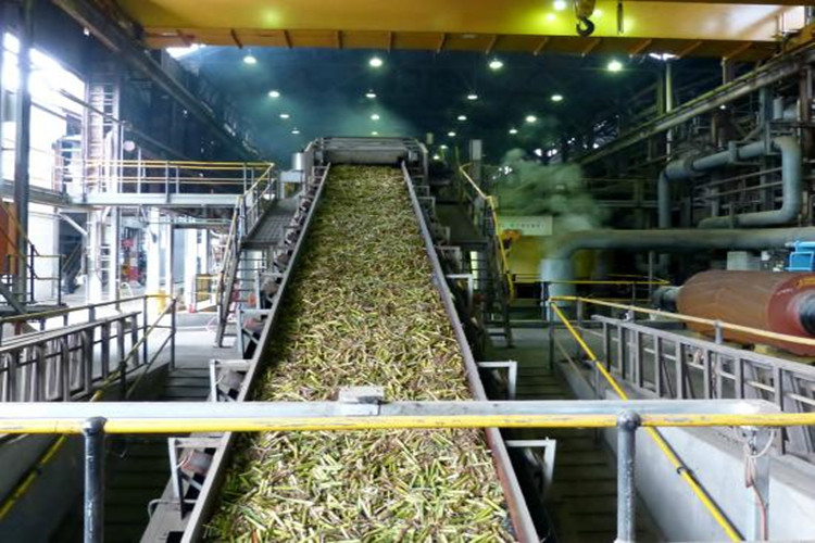 сахарная мастерская