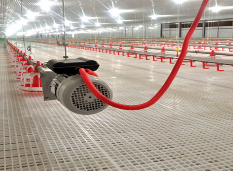 Автоматическое оборудование для птицы