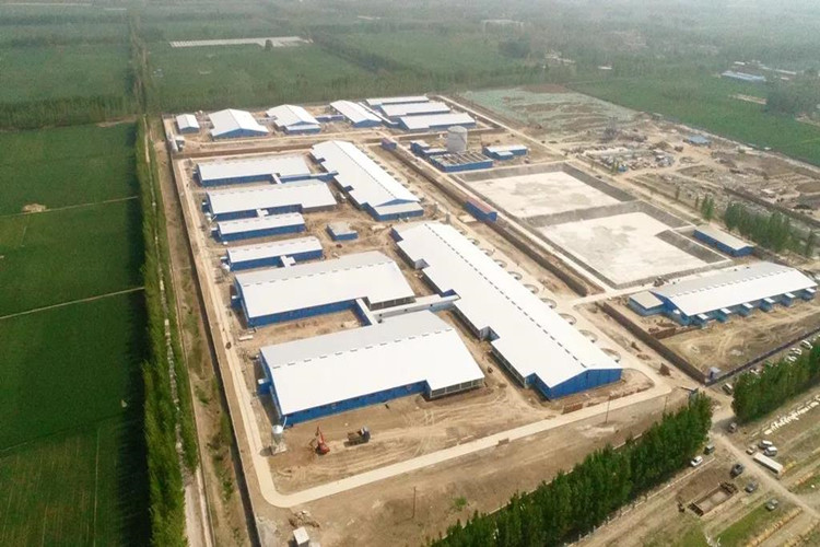 свиноводная ферма