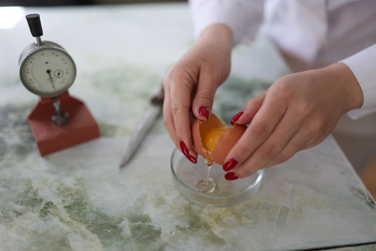 пастеризация