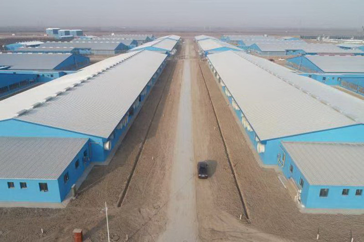 стальная ферма