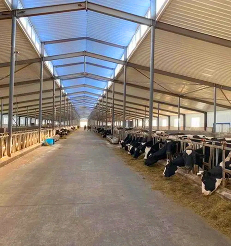 корова сарай