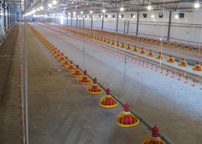 Автоматическое оборудование для подачи