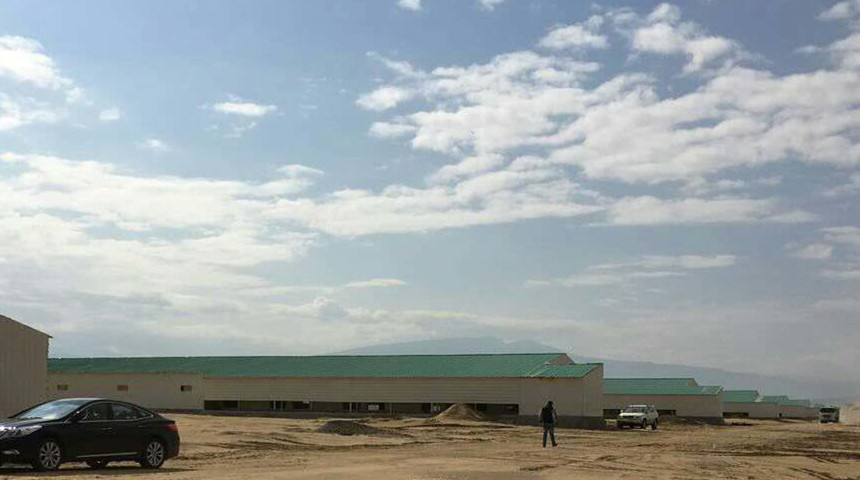 Куриная ферма