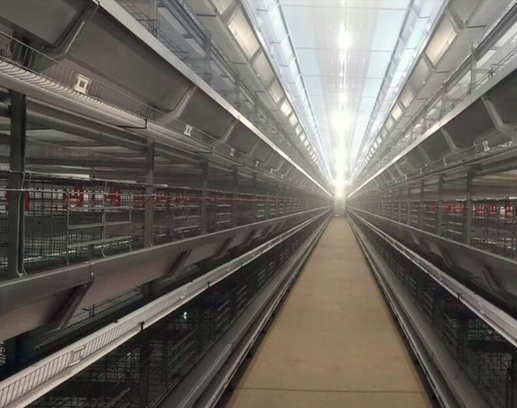 батарея клетки