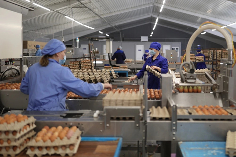 хранение яиц