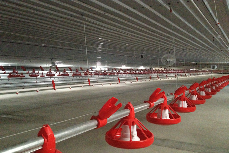 подача сковороды