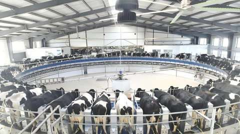 dairy farm.jpg